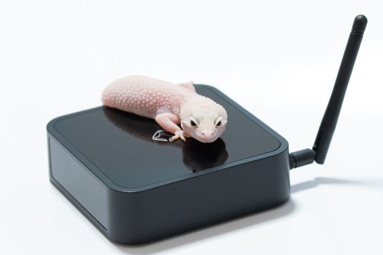 Smart Home Gecko